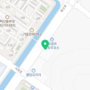 24시팔용feel동물병원 네이버블로그