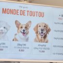 몽드드뚜뚜 이미지