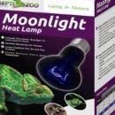 건이네 파충류 이미지