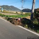 동막공인중개사사무소 이미지