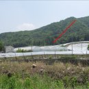 율길2리 마을회관 이미지