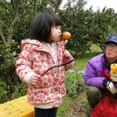 조삼모아 이미지