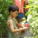 율포농장 이미지