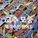 태농농장 이미지