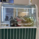 네발로오시개 이미지