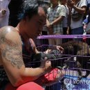 Fall in dog 이미지