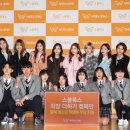 스쿨룩스 이미지