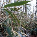 보룡농장 이미지