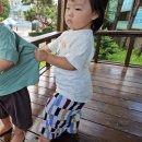 주성이네 옷 이미지