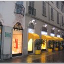 꼬모의 산책 이미지