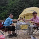 야영텐트 Daum카페