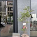 그래티파이 커피 이미지