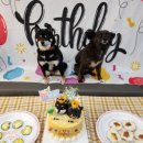 워니시티 이미지