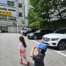 우다다햄쮸 이미지