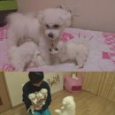 김명석농장 이미지