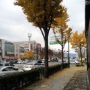 갈마노래연습장 이미지