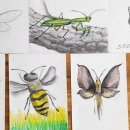 세밀화 그리기 이미지