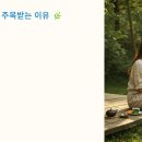 웰빙펫 | 2025년 여행 트렌드 : 반려동물 동반 여행과 웰니스 여행의 인기