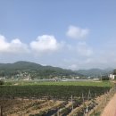 배나무펜션 이미지