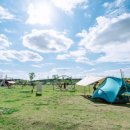 서운체육공원 (반려견센터) | 서울 근교 펫 피크닉 하기 좋은 애견동반 숨은 공원 리스트