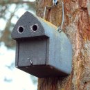 히든보청기 강서지사 이미지