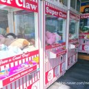 오이랜드 이미지