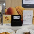샤브올데이 망고올데이 | 망고 디저트 무한리필 솔직후기