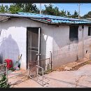 경춘농원 이미지