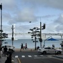 언플랜드88 이미지