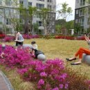 꽃길펜션 이미지