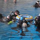 목포서산초등학교 이미지