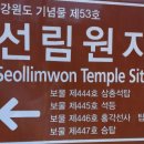 양양 선림원지 석등 | 양양 선림원지(襄陽 禪林院址),보물 문화재 4점