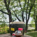 드린겐 애견테마파크 이미지