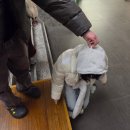 GS25 범어경민점 | 인생은 펭귄처럼 (Feat. 반려동료)