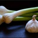 Re:익힌 마늘의 효능(The efficacy of cooked Garlic) 이미지