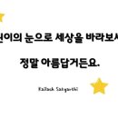 아리솔태권도 네이버블로그