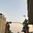 강아지 나라 이미지