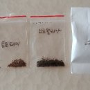 신다송