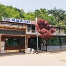 영월아프리카미술박물관&에이미캠핑장 이미지