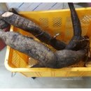 산이고와라 네이버블로그