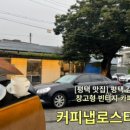 욜로커피로스터스 이미지