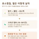 평창산야초 | 효소찜질 효과와 주의사항, 가보기 전 알아본 모든 것 (서울 5곳 정리)