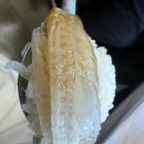 초장집 | 울산 정자 활어 직판장(A17) 근처 "강동초장집"후기.