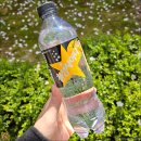 칠성사 | 달콤 산뜻한 칠성사이다 제로 유자 탄산음료 추천 후기