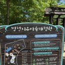 창의숲어린이집 | 별천지숲인성학교 숲 패키지 후기｜5살 아이와 숲 체험부터 물감놀이, 계곡 물놀이까지 알찬 하루
