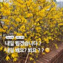 내일봬요 이미지