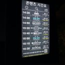 리틀빌리지어린이집 | 대구 아쿠아리움, 아이랑 가기 좋은 실내, 애 데리고 백화점 수족관, 앵무새 체험
