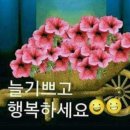 소리난청보청기센터