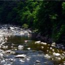 기린초등학교 진동분교 이미지