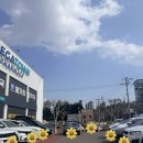 대한약국 | 대구메가타운약국 대구대형약국추천 서구마트형약국